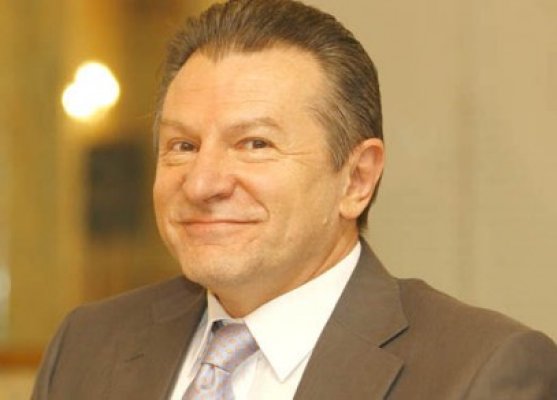 Radu Berceanu, senator PDL:
